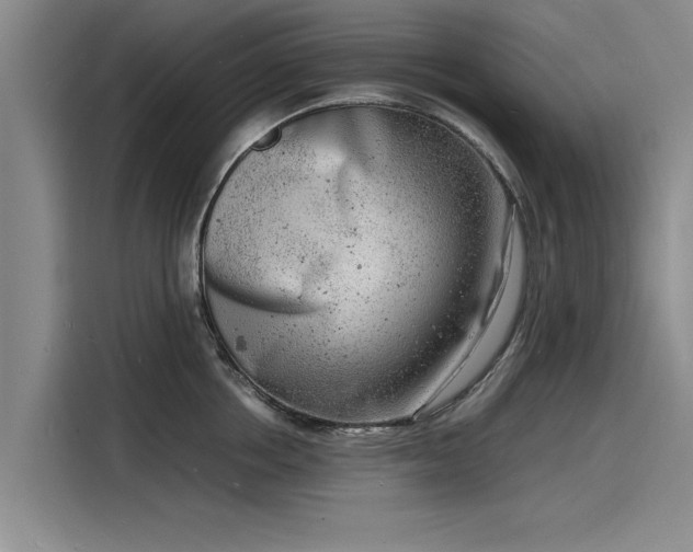 X0000116140858200911301519