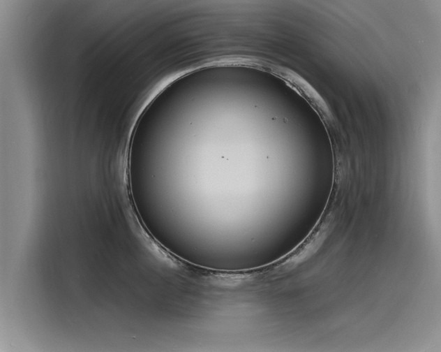X0000116140860200911301519