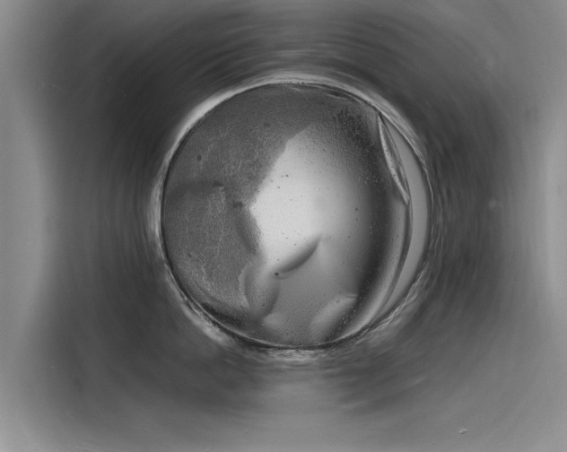 X0000116140862200911301519