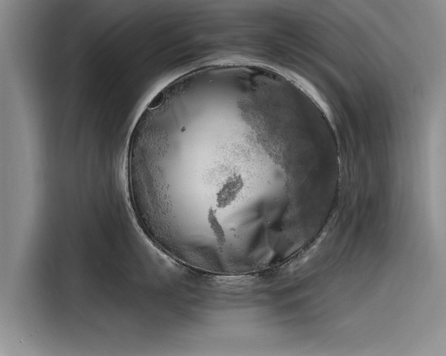 X0000116140863200911301519