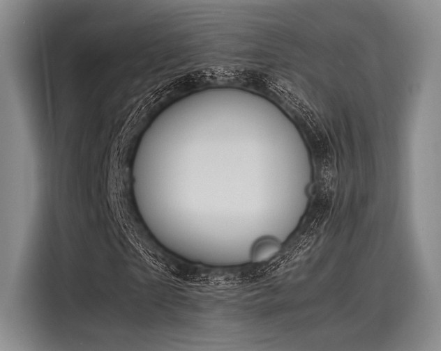 X0000116140865200911301519