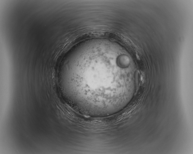 X0000116140867200911301519