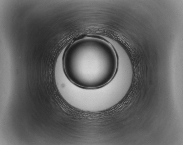 X0000116140868200911301519