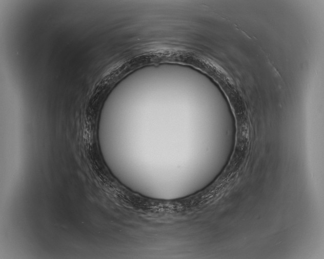X0000116140869200911301519