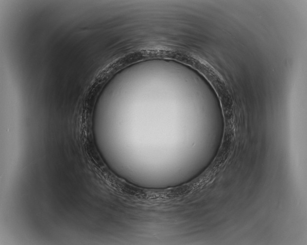 X0000116140870200911301519
