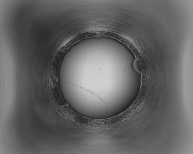 X0000116140871200911301519