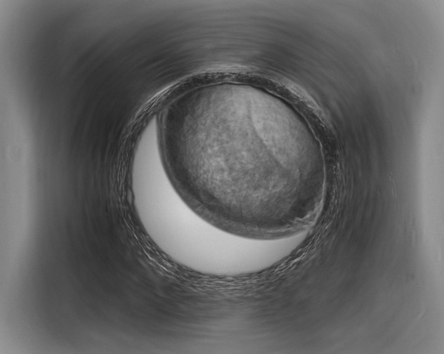 X0000116140872200911301519