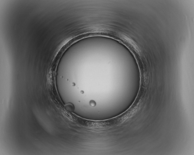 X0000116140875200911301518