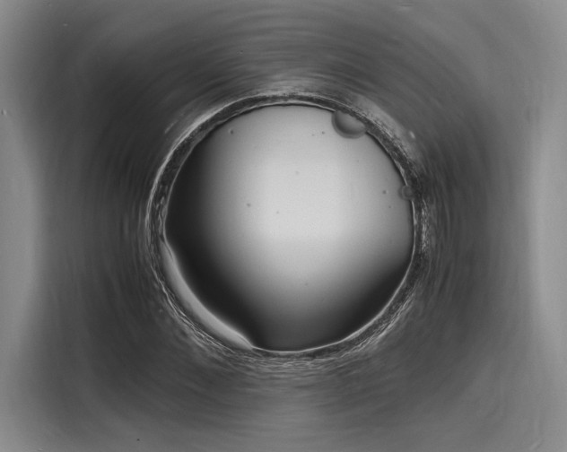 X0000116140876200911301518