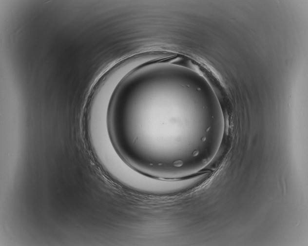 X0000116140877200911301518