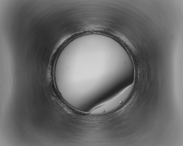 X0000116140878200911301518
