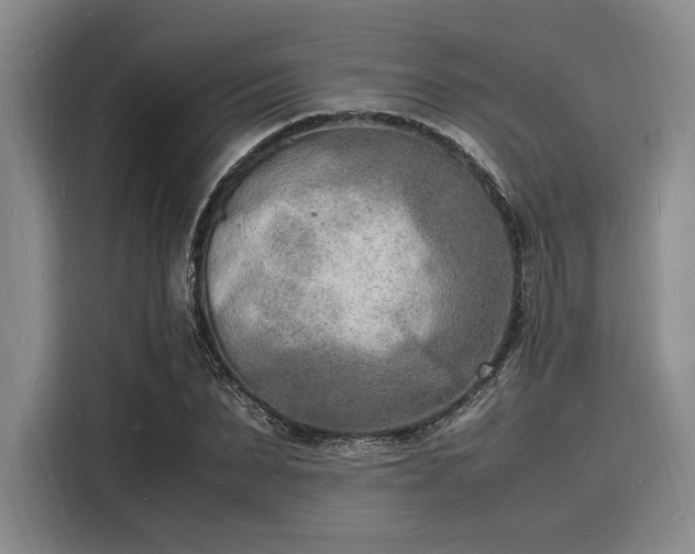 X0000116140879200911301518