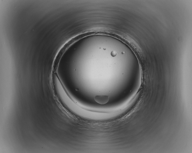 X0000116140880200911301518