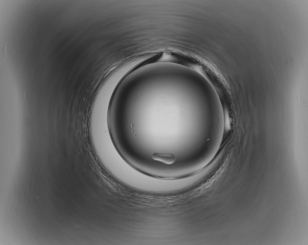 X0000116140881200911301518