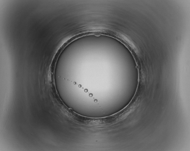 X0000116140883200911301518