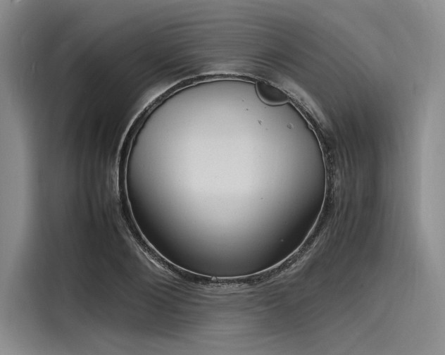 X0000116140884200911301518