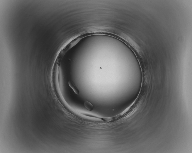 X0000116140885200911301518