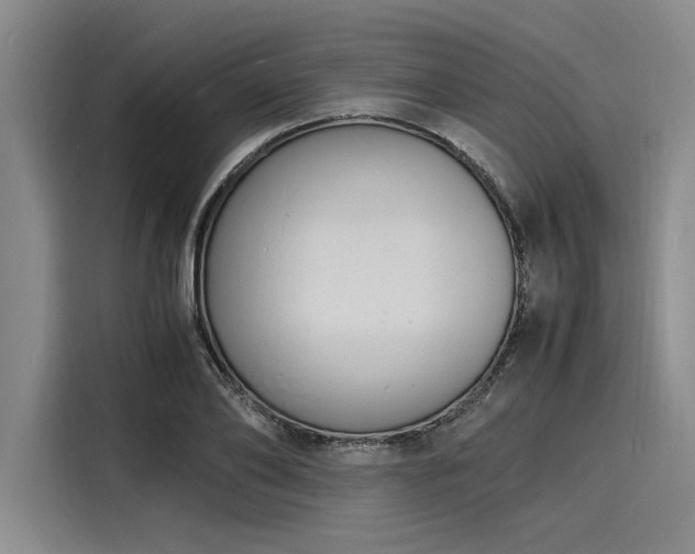 X0000116140886200911301518