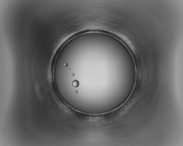 X0000116140887200911301518