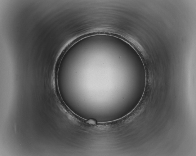 X0000116140888200911301518