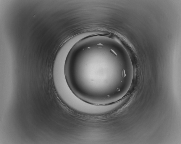 X0000116140889200911301518