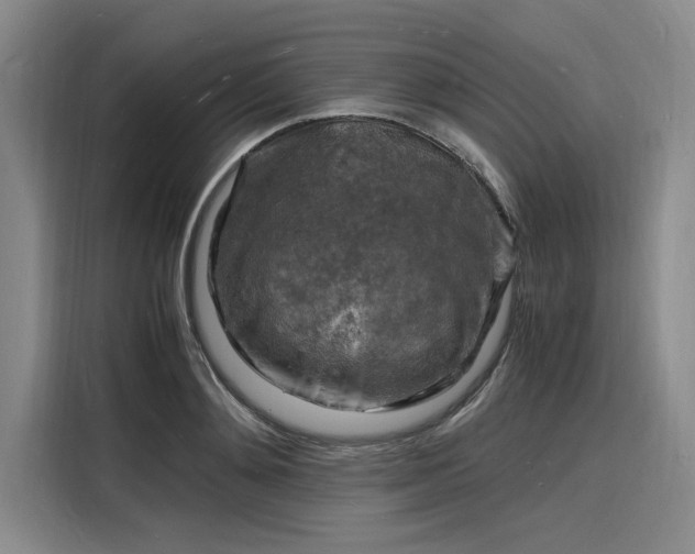 X0000116140892200911301518