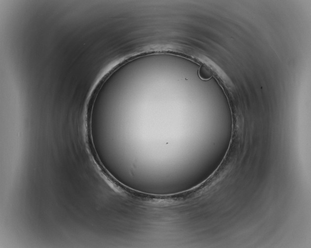 X0000116140894200911301518