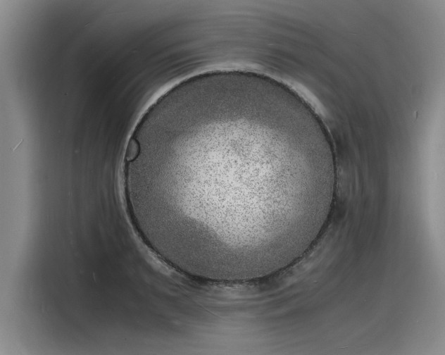 X0000116140895200911301518