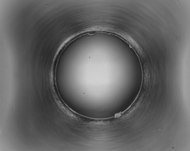 X0000116140896200911301518