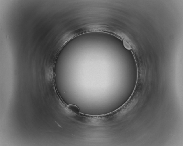 X0000116140897200911301518