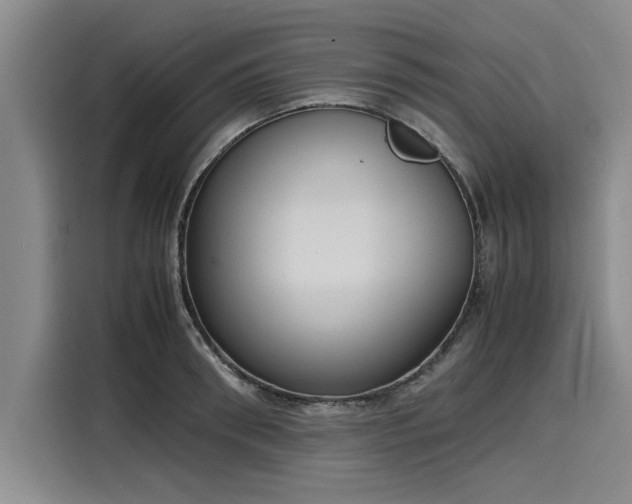 X0000116140898200911301518