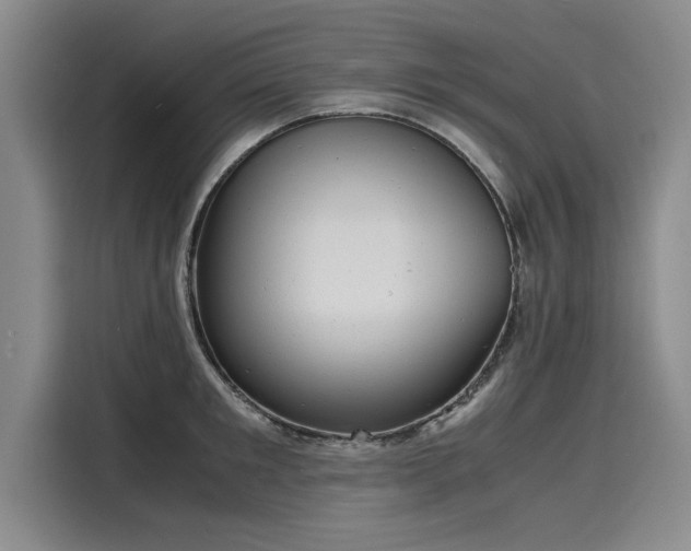 X0000116140901200911301518
