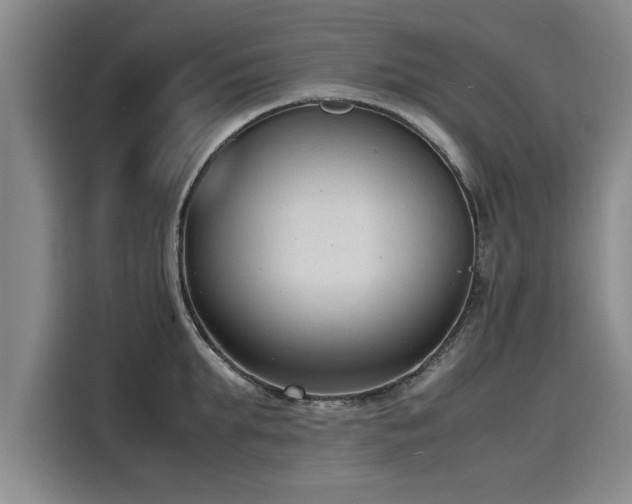 X0000116140903200911301518