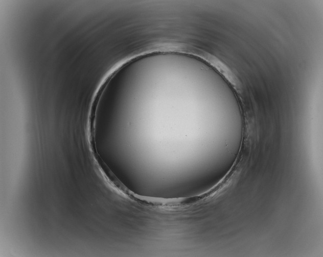 X0000116140904200911301518
