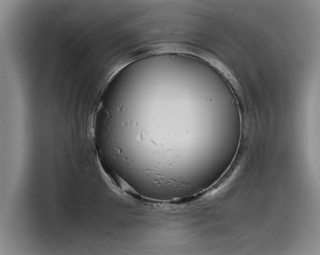 X0000116140905200911301518