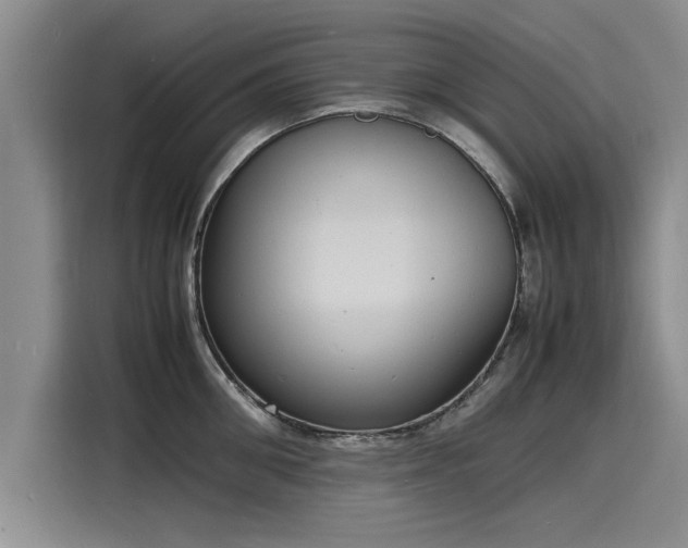 X0000116140906200911301518