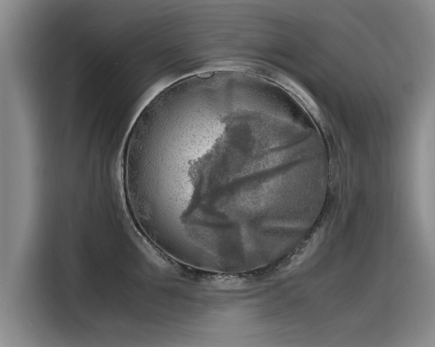 X0000116140907200911301518
