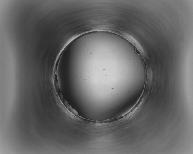 X0000116140908200911301518