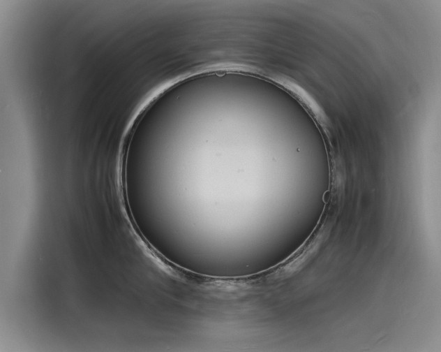 X0000116140910200911301518