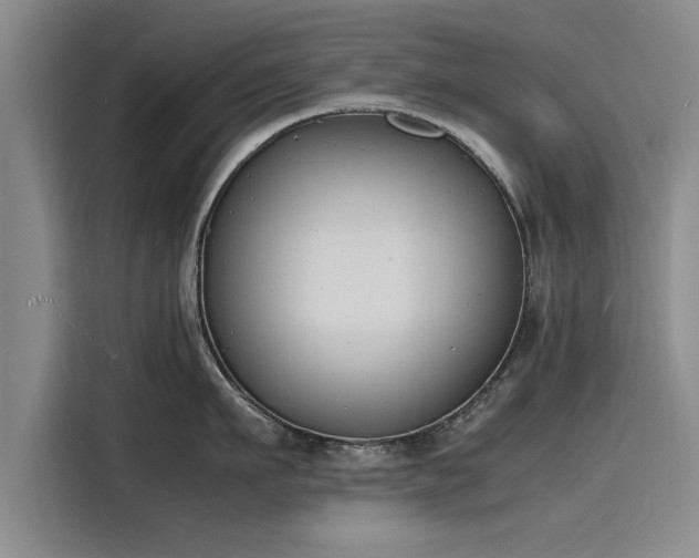 X0000116140911200911301518