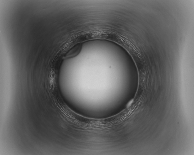 X0000116140914200911301517