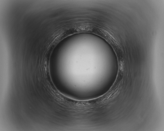 X0000116140915200911301517