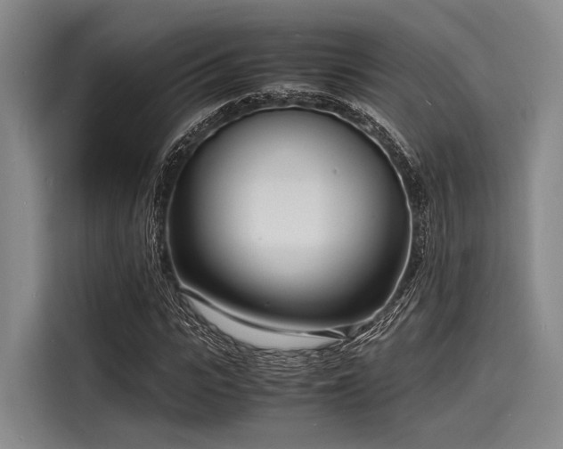 X0000116140919200911301517