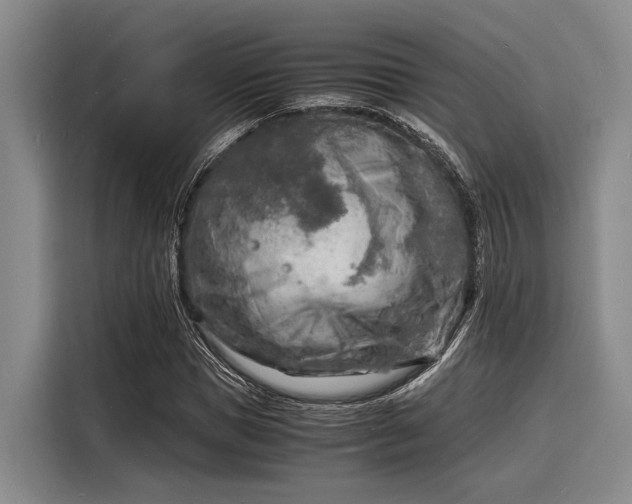 X0000116140921200911301517