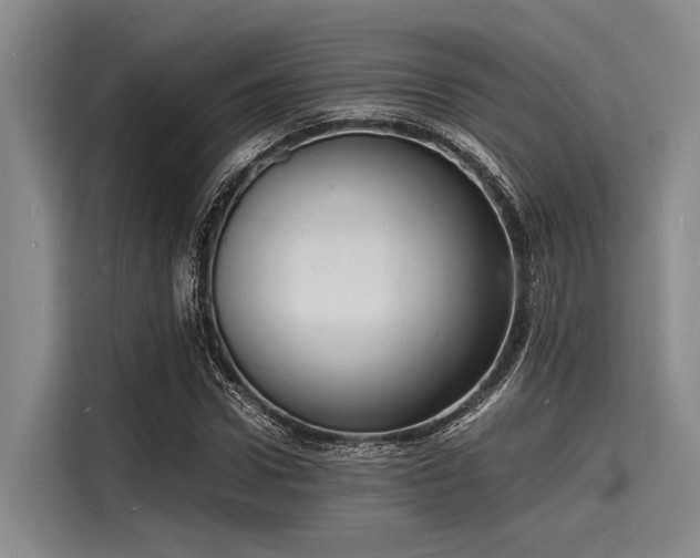 X0000116140922200911301517