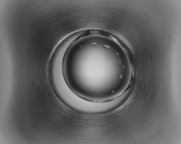 X0000116140926200911301518
