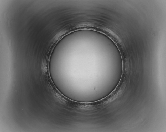 X0000116140929200911301518
