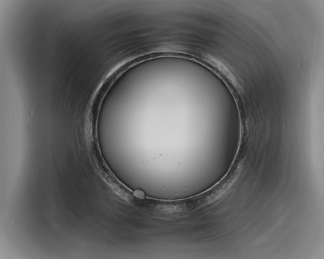 X0000116140931200911301518