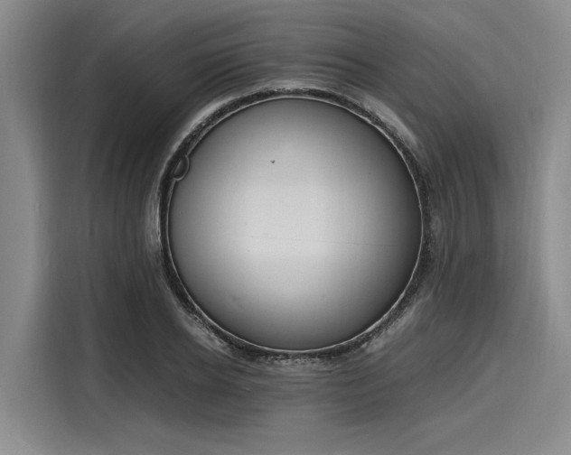 X0000116140934200911301518