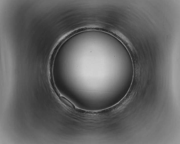 X0000116140935200911301518